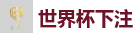 世界杯下注 - 2026世界杯官方指定下注平台
